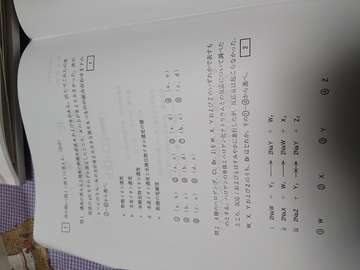 19年 武庫川女子大学解答速掲示板 武庫川女子大学掲示板 19年 武庫川女子大学解答速掲示板 武庫川女子大学掲示板